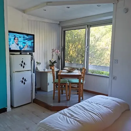 Apartment Studio
